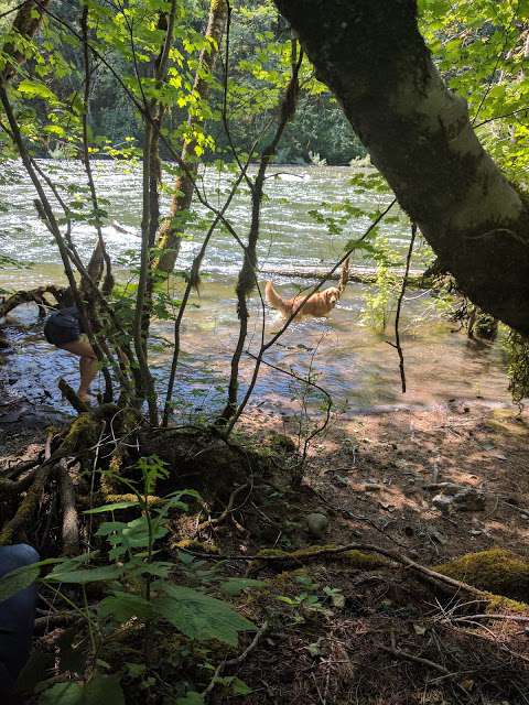 Cheakamus Canyon Hike - Trailhead